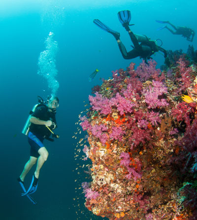 best scuba diving in Thailand